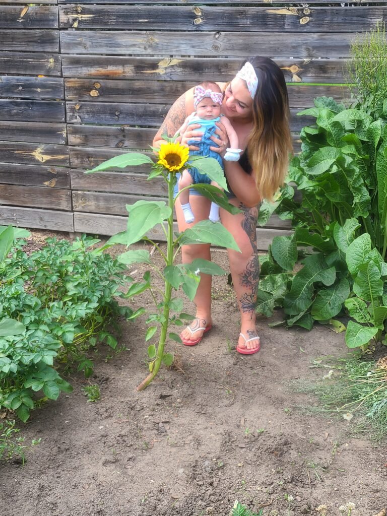 newborn carolynn sunflower