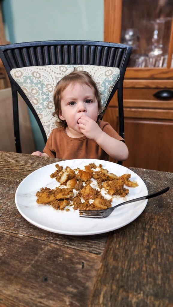 Kid Friendly Meal Homemade Sloppy Joes