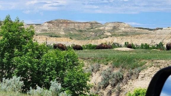 Theodore Roosevelt National Park