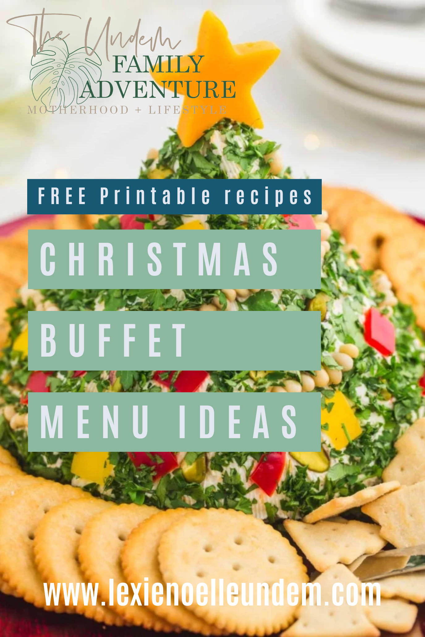 Christmas Party Food Ideas - Buffet Style Holiday Recipes Pin 