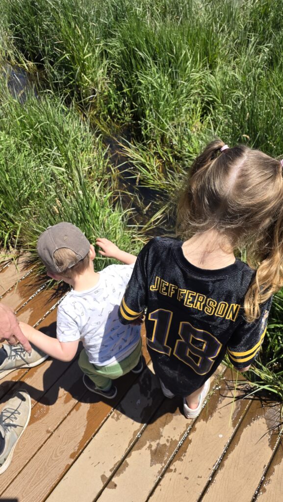 outdoor family fun