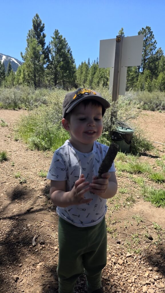 Lake Tahoe family hiking