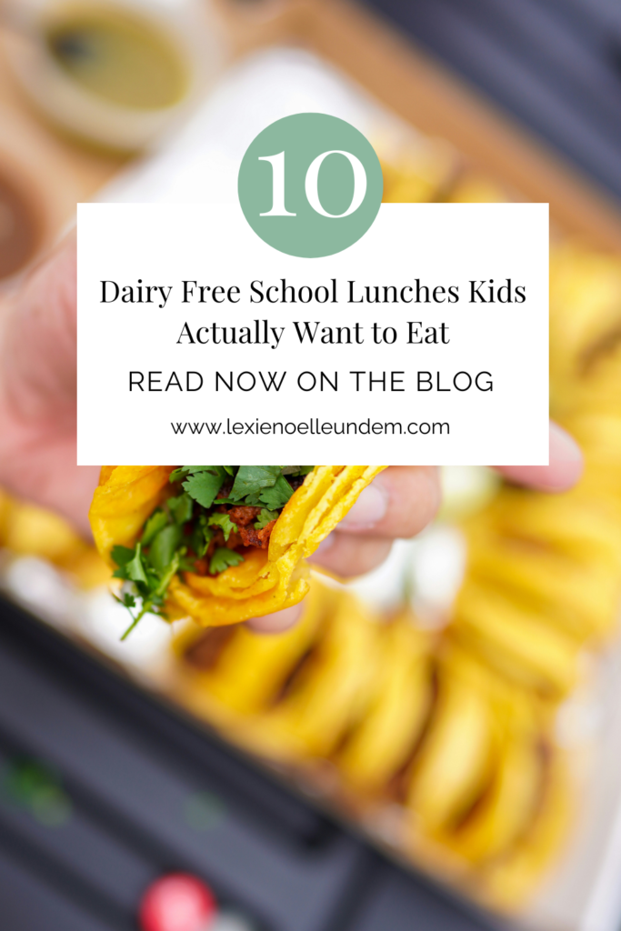 Simple Dairy Free School Lunches Even Picky Eaters Will Love Pinterest Pin