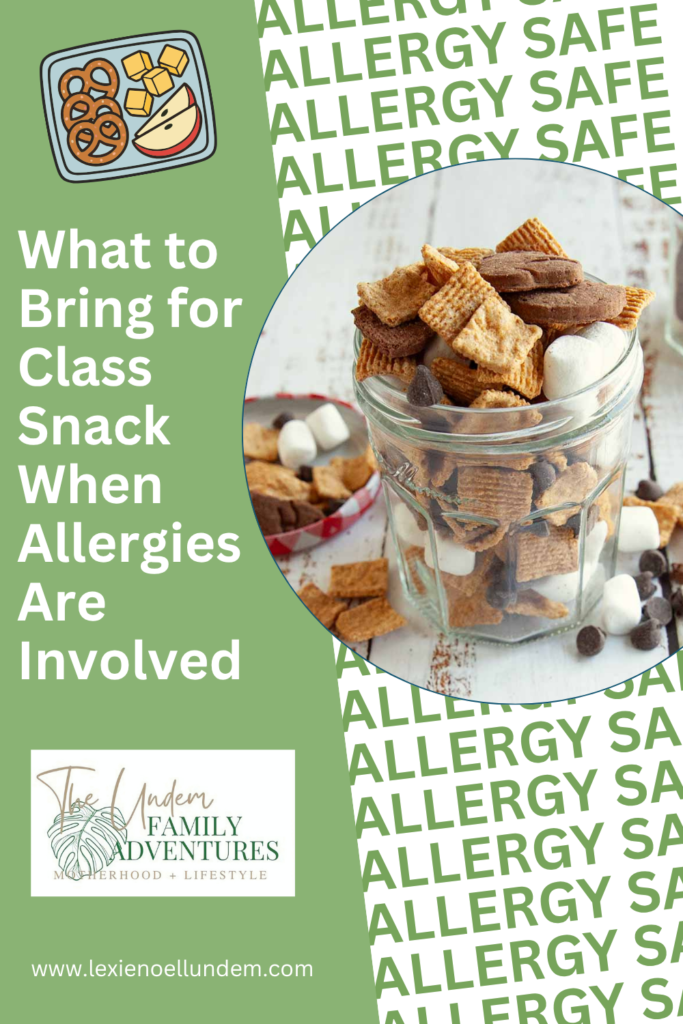 Allergy-Friendly School Snacks That Work for Every Kid Pinterest Pin