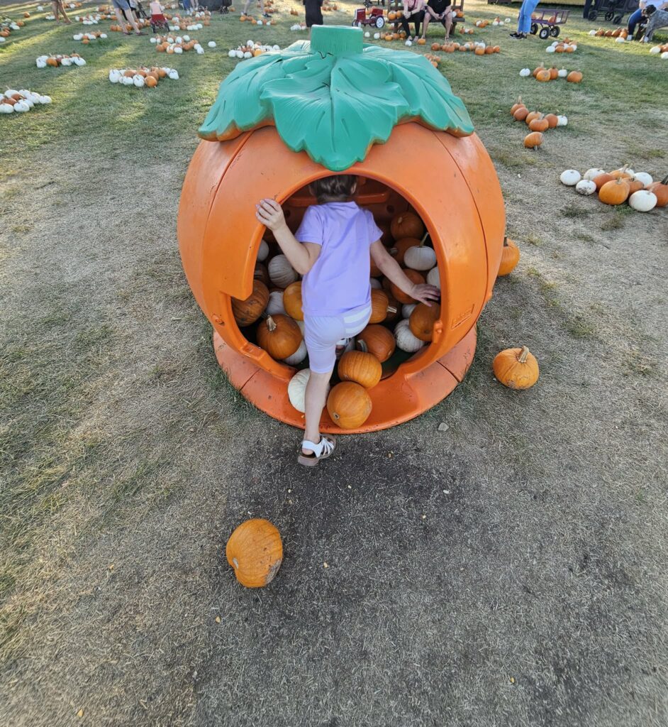 fall activities for families