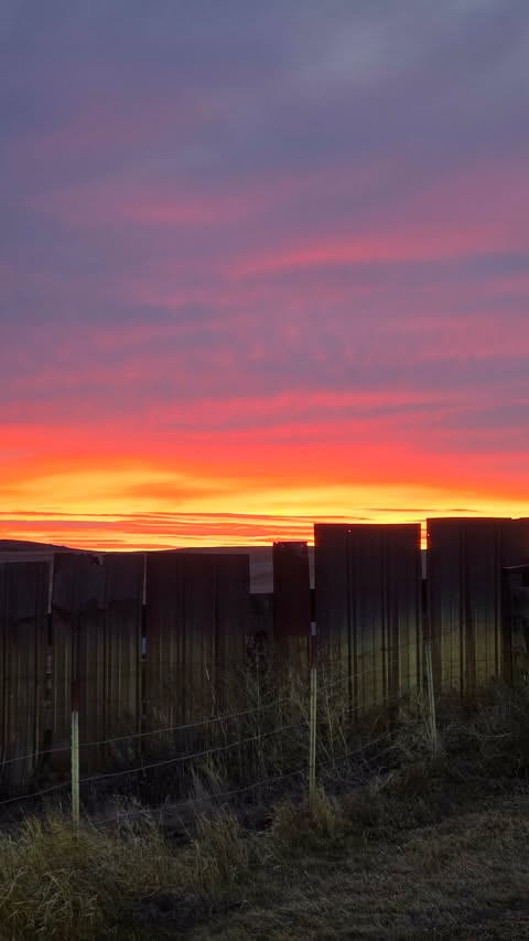 sunset fall activity